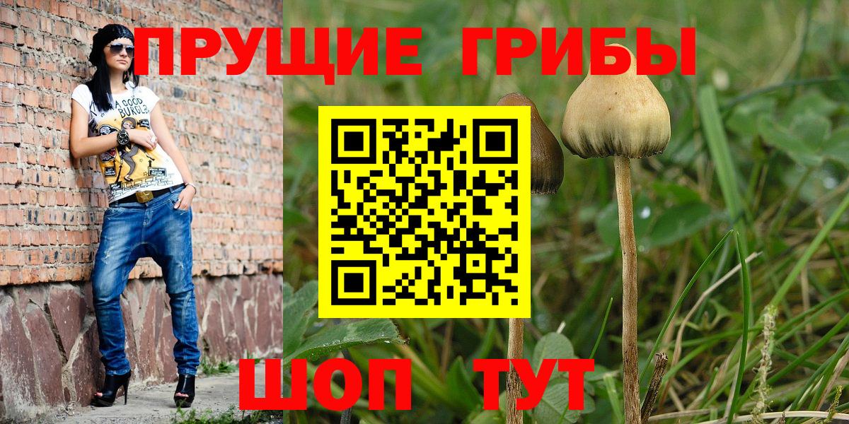 Рузаевка  Псилоцибиновые грибы мицелий  Вход с VPN 